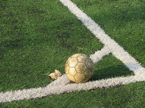 三亿体育体育网页版登录入口-传奇球员李铁回归，河北华夏幸福迎来胜利