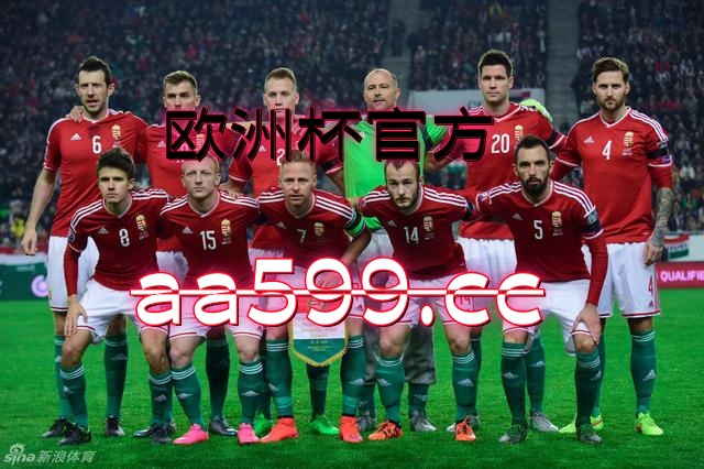 三亿体育体育在线登录-关于阿尔巴尼亚小组赛出炉：维也纳胜土耳其的信息